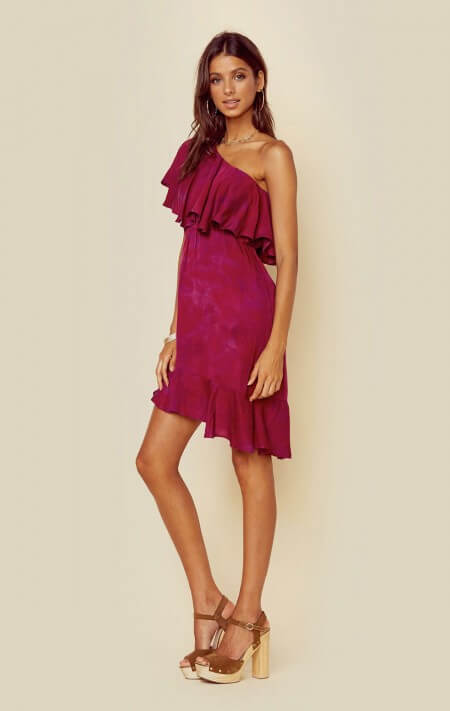 Velvet Ruffle Dress