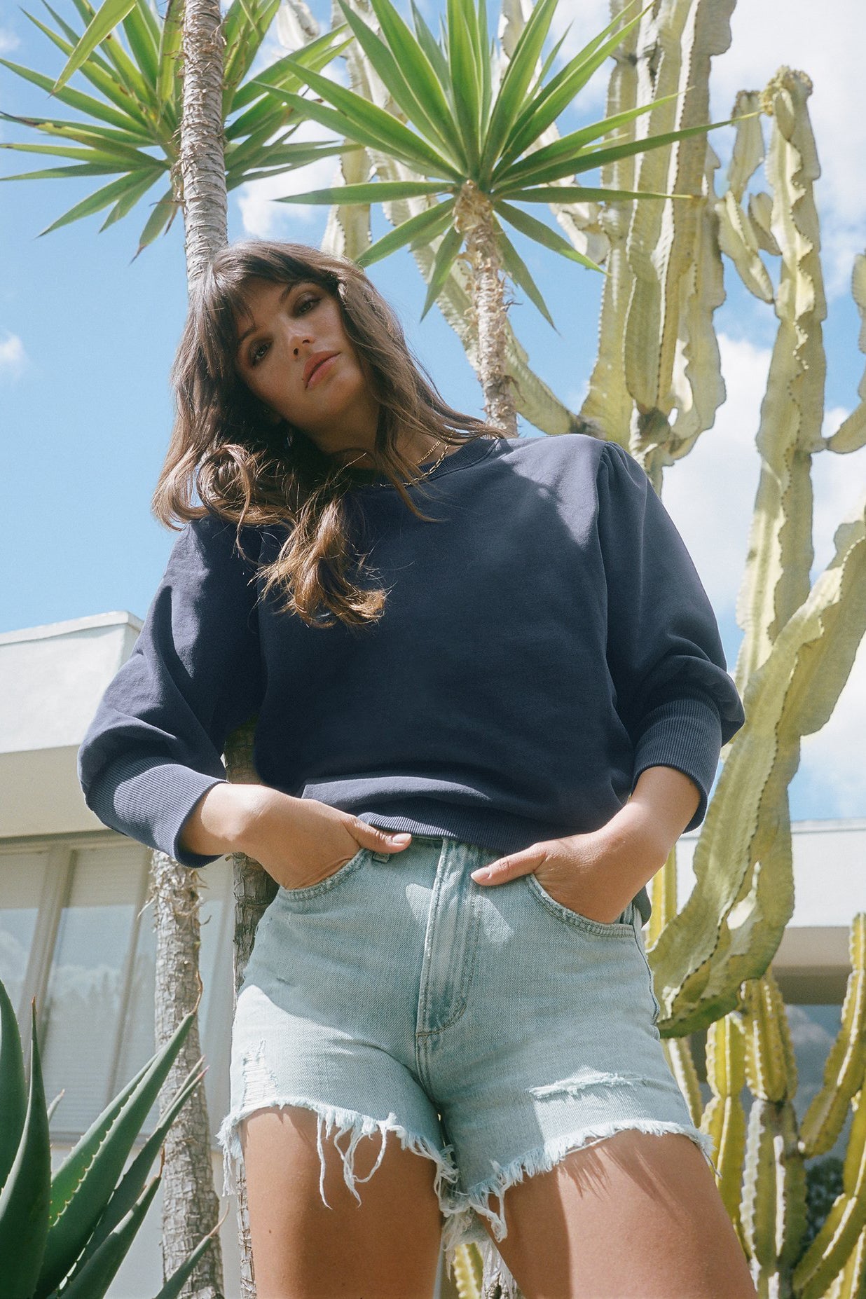 Horizon High Rise Shorts